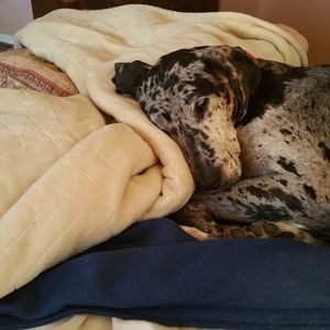 Meet your Posher, Dona